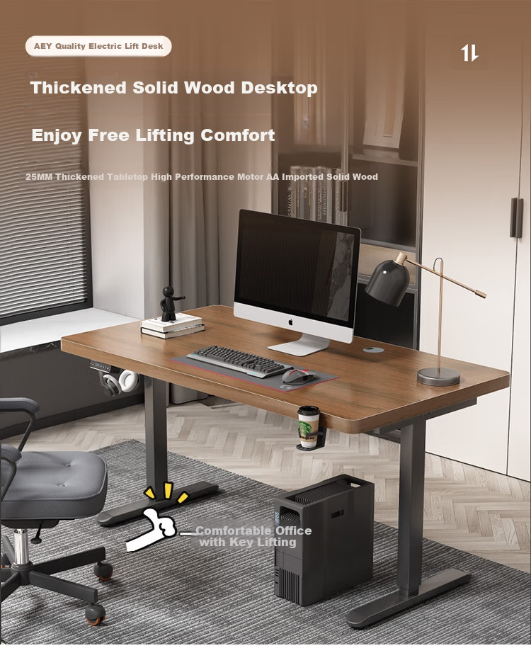 AEY Electric Height Adjustable Desk Computer Desk Stand-Up Gaming Desk Study Desk Office Desk 1.2*0.6m 1