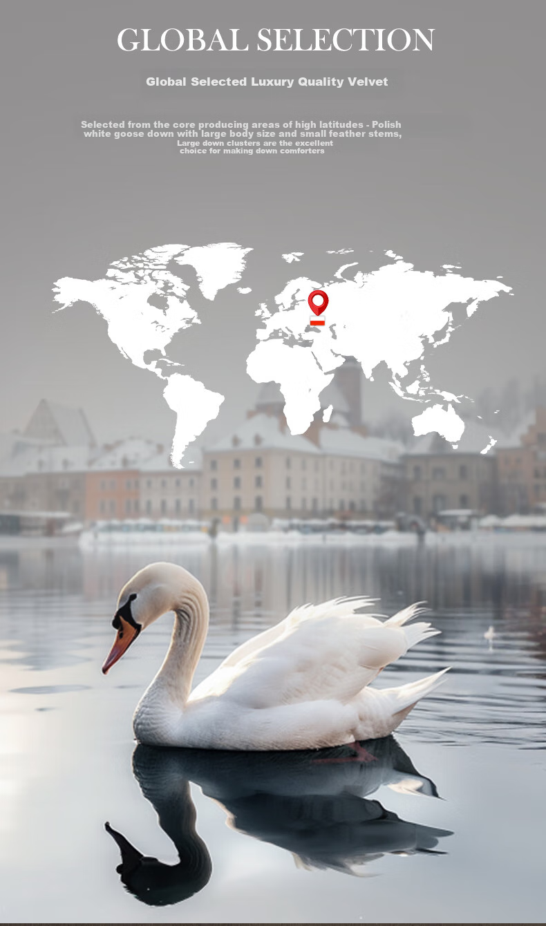 LUOLAI Home Textiles Duvet Insert, Polish Imported 95% White Goose Down Two-In Duvet Insert, 150*215cm 3
