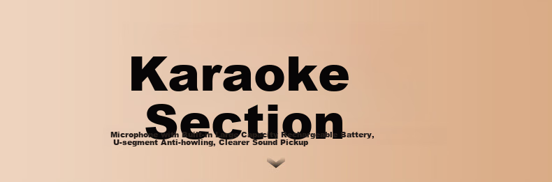 Haomuren Karaoke Sound System, Home KTV Sound Package, All-In Karaoke Machine for Singing at Home, Karaoke TV, Microphone, Karaoke Machine with Song Selection Function, Wireless Microphone, Bluetooth Speaker, Amplifier 10