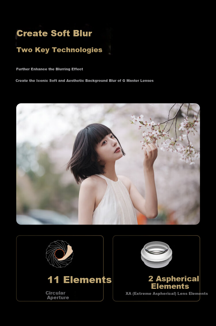SONY FE 200-600mm F5.6-6.3 G OSS Full-Frame Super Telephoto Zoom G Lens Birding Lens (SEL200600G) 14