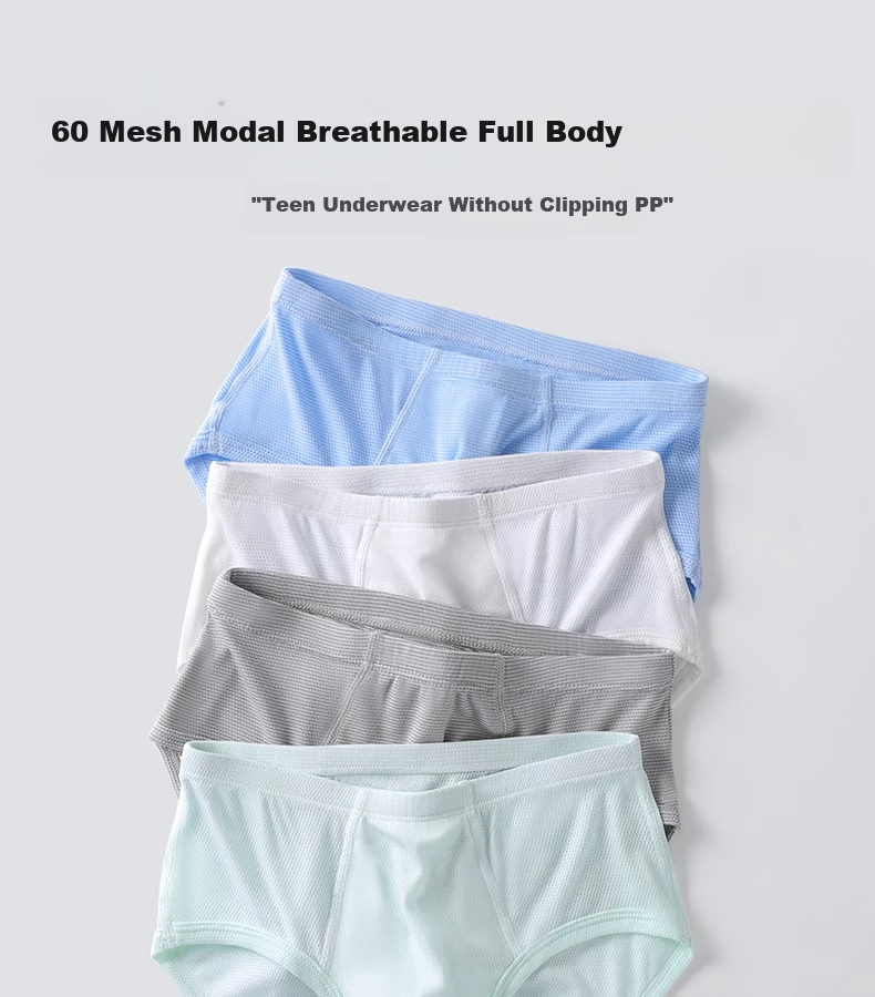 Hzasz Children's And Teenage Underwear for Boys, Modal Triangle Briefs for Middle And High School Students, All Seasons, Puberty Boys' Underpants 1