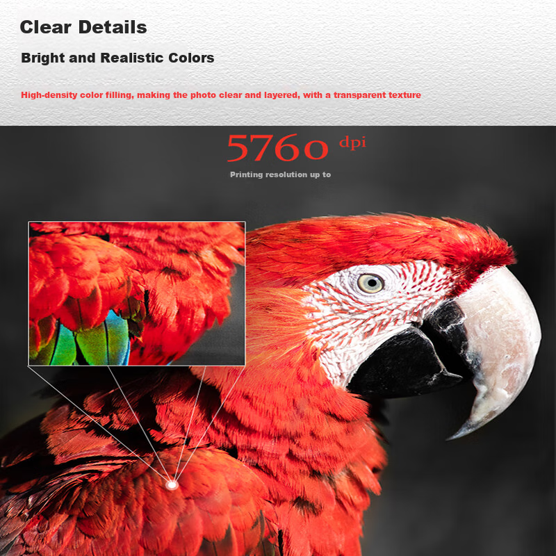 Elifo RC Photo Paper High Gloss Waterproof Inkjet Printing RC Photo Paper, 260g Photo Paper, RC Photo Paper Glossy A4-30 Sheets