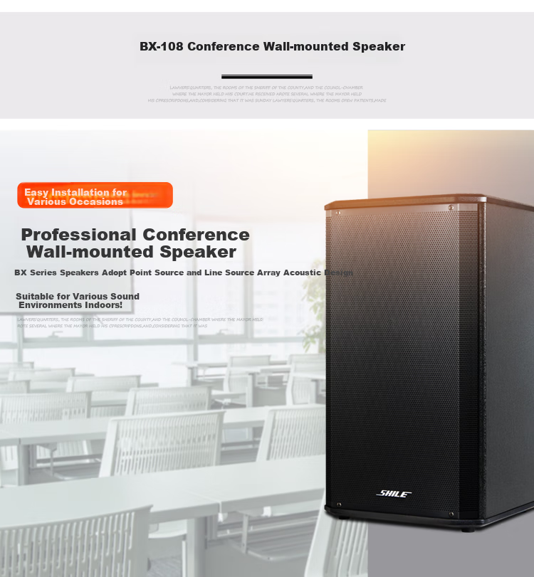 SHILE Professional Small to Medium-Sized Conference Room Audio System Set with Wall-Mounted Speakers, Amplifier, And Microphone Combination Teaching Training Lecture Audio System AV108+108*2 Black+SH10 10