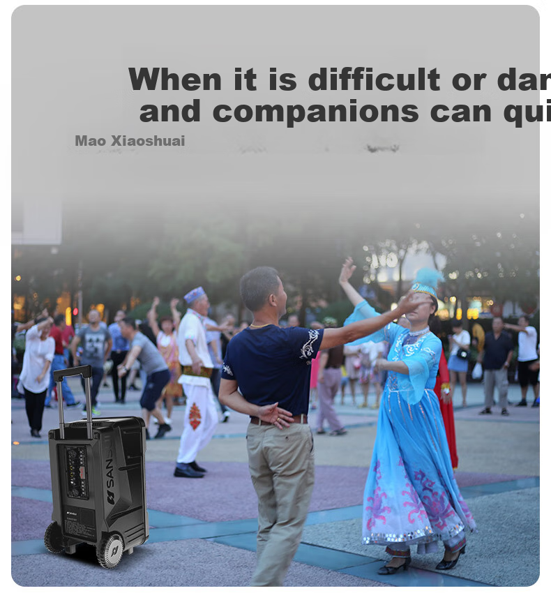 SANSUI E08 Karaoke Speaker, Outdoor Portable Amplifier, High-Volume Bluetooth Mobile Speaker, Powerful Singing Outdoor KTV Performance Stage Dual Microphone 8