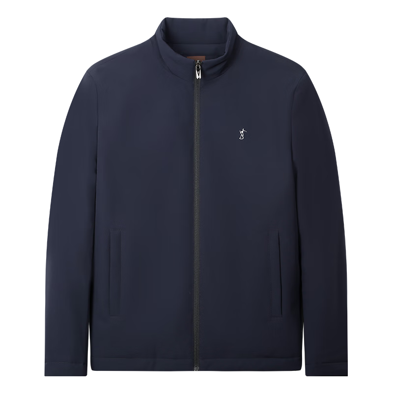 Caizi Men's Stand Collar Jacket Autumn Winter 2025 New Graphene Warm Fabric Embroidered Simple Business Casual Windproof