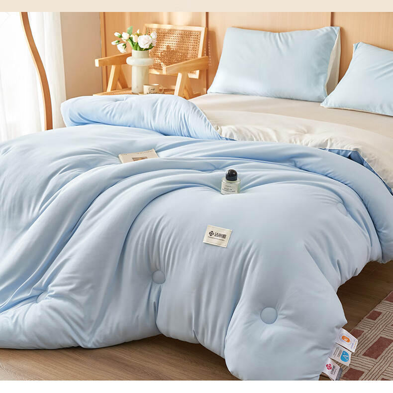 Grace Class A Fabric Quilt Thickened Autumn Winter Air Conditioning Quilt Double Four Seasons 150*200cm 5 Jin 2