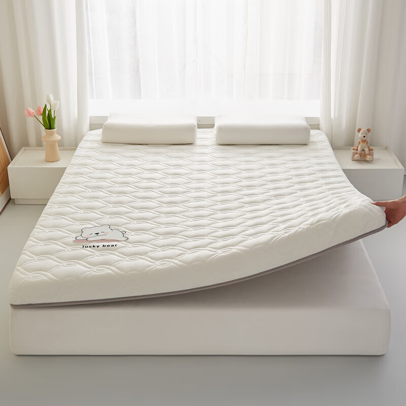 Wuyinliangpin Class A Fabric 20% Soybean Mattress Cover Bedding Pad 1.5*2 Meters Foldable Single-Sided Mattress Topper for Home Use All Seasons Non-Slip