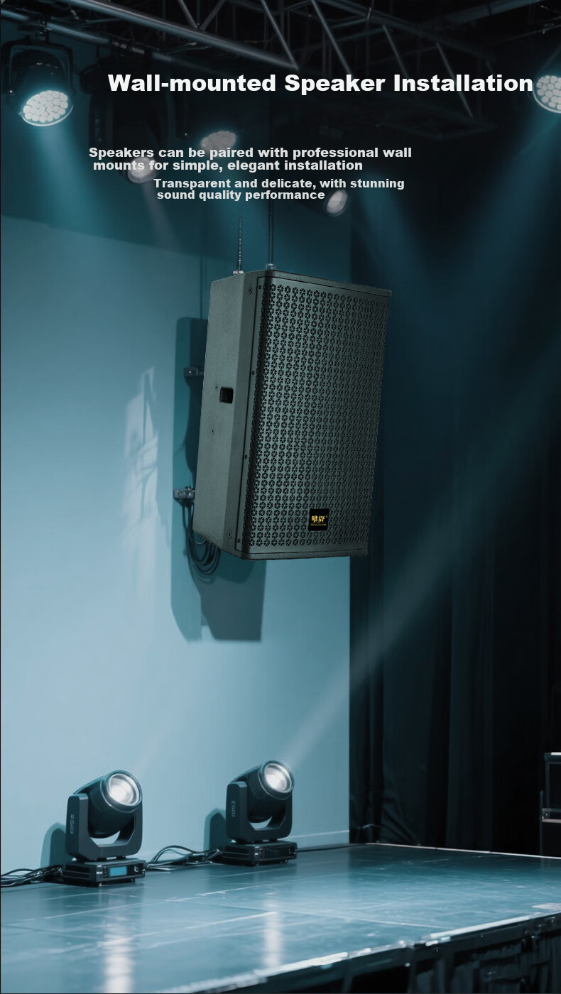 Weishu BM-1010 Conference Audio And Video Full-Frequency Professional Speaker, Single 10-Inch Multifunctional Performance-Level Indoor And Outdoor KTV Project Wall-Mounted And Floor-Standing Theater Passive Speaker 200W 7