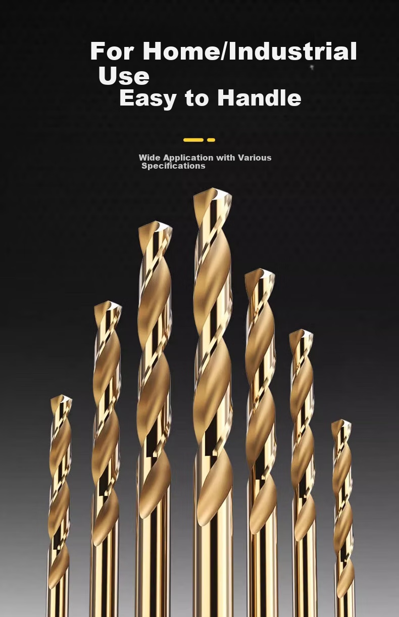 LiDiao Twist Drill High-Hardness Drill Bit for Iron Steel And Stainless Steel, Straight Shank Twist Drill Bit Set for Drilling Steel And Iro 12