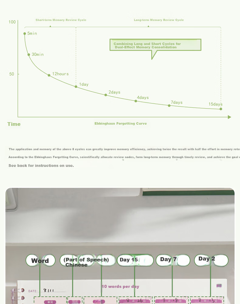 Sannianerban B5/40 English Vocabulary Notebook, Elementary And Middle School Students' Word Memorization Tool, Postgraduate Exam Aid, Ebbinghaus Forgetting Curve, Word Dictation Loose-Leaf Pages, Daily 10 Words, Qingyu Pink-Gree 3