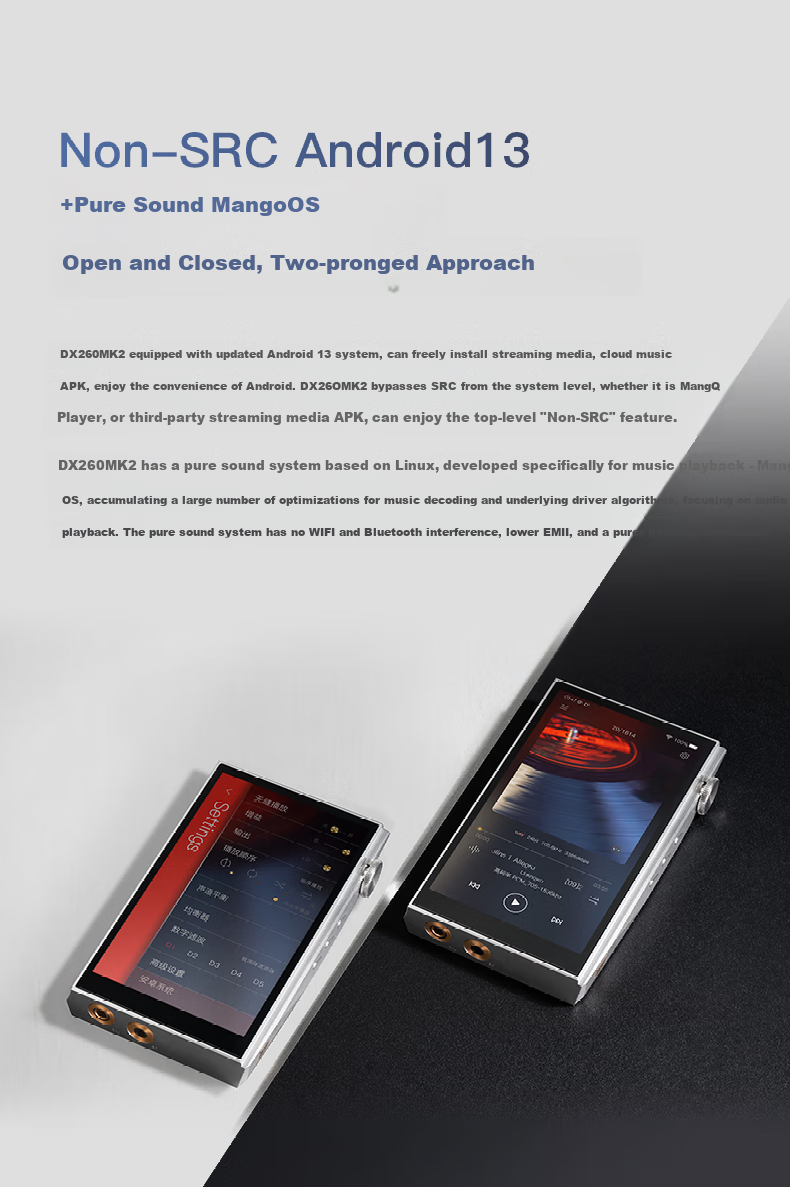 IBasso DX260MK2, HIFI Android Audiophile-Grade Decoder, DSD Lossless Music Player, MP3 Silver Blue 12