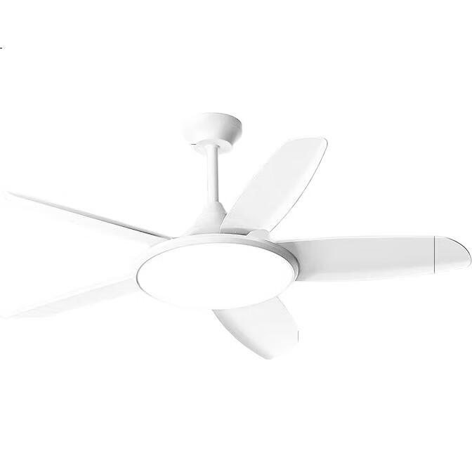 White Image 1