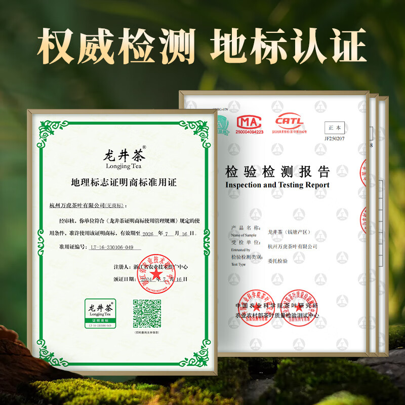 西湖工夫新茶叶绿茶【老茶树龙井】明前特级春茶自己喝送长辈领导150g