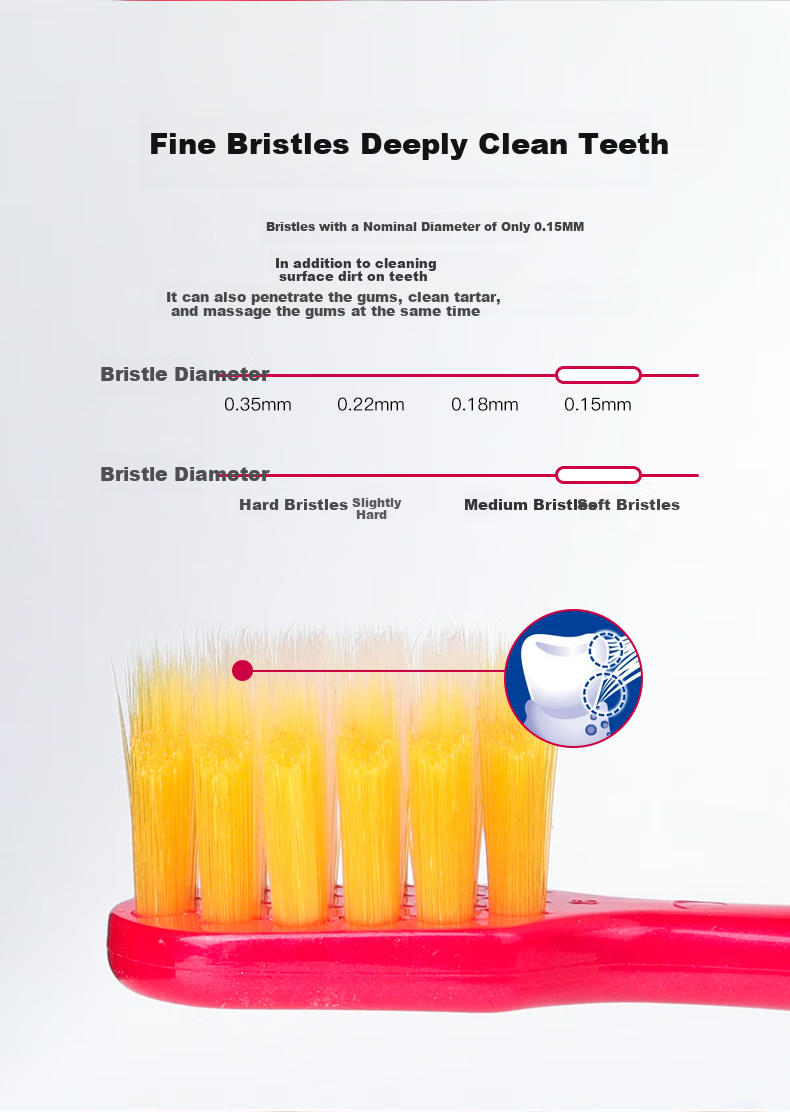 Detaike Soft Bristle Toothbrush for Adults, Fine Bristles for Men And Women, Stain Removal And Gum Protection, Random Color/style (Free Gift, Do Not Purchase) 3