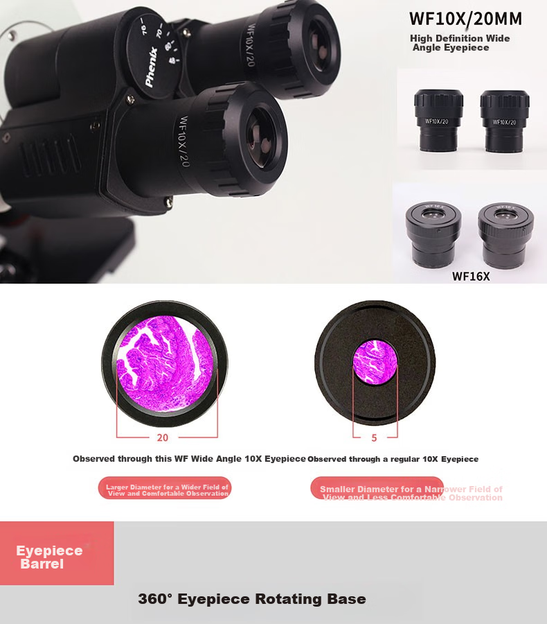 Phenix PH50-2A43L Biological Microscope, Binoculars, 1600x Magnification, Professional High Magnification, for Home And Laboratory Use, Bacterial Detectio 3