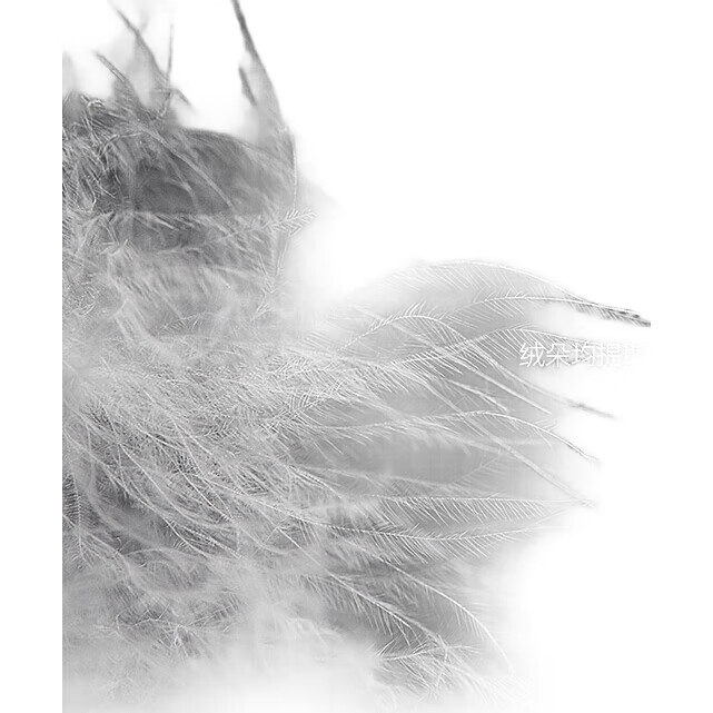 White Image 2