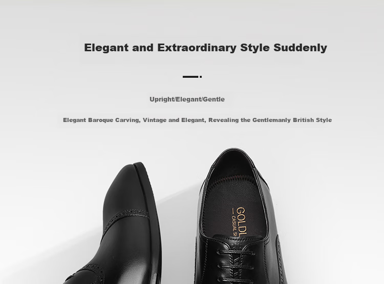 Goldlion Men's Shoes, Fashionable Formal Wear, Stylish And Simple Leather Shoes, Comfortable And Durable Oxford Shoes, 56321052401A, Black, Size 37 3