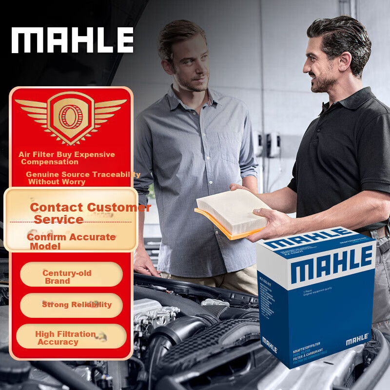 MAHLE Air Filter Element Air Cleaner LX6069 (Suitable for Yingbao R 2.0T)