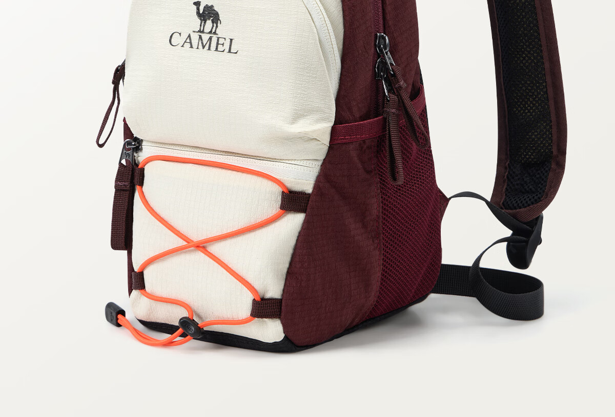 CAMEL Commuter Casual Backpack, Travel Lightweight Bag, Laptop Bag, Hiking Backpack 575B741036, Twilight Purple 2