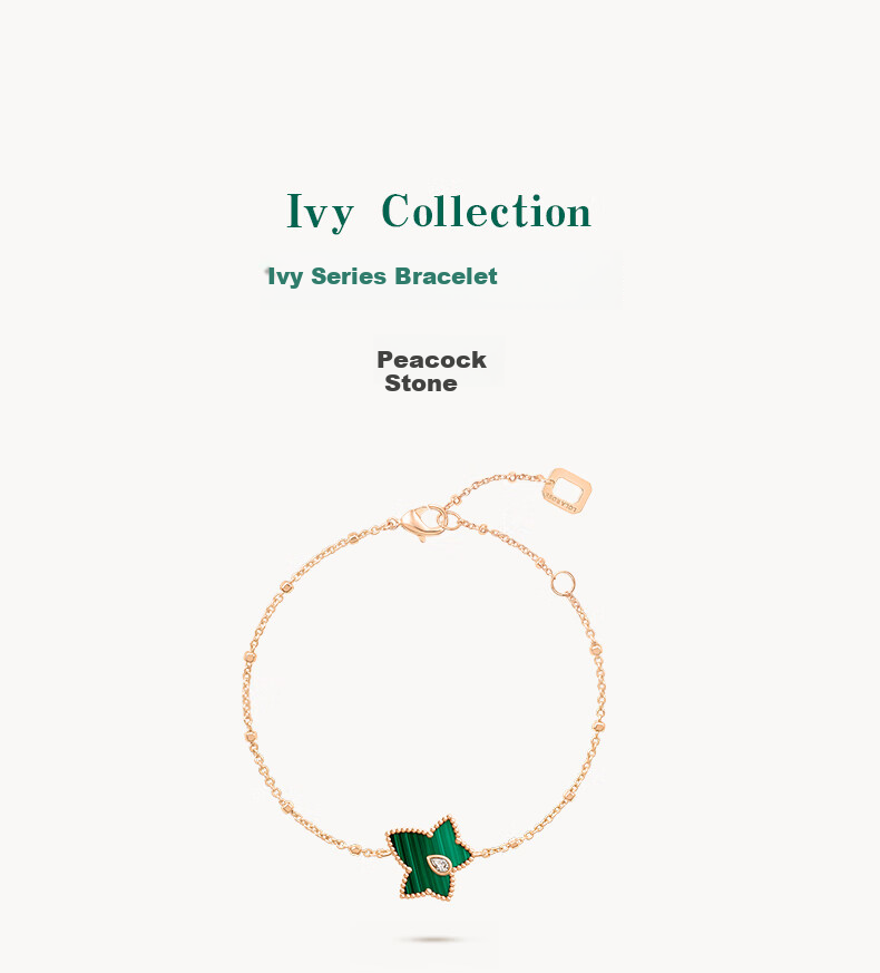 LOLA ROSE Ivy Series Bracelet for Women, Birthday Gift for Girlfriend, Wife, Or Best Friend 8
