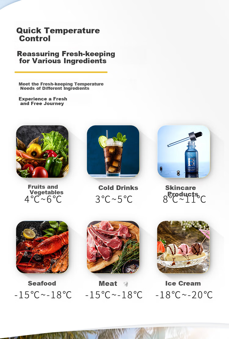 Alpicool Compressor Cooling C12P Portable Refrigerator for Car And Home Use, Freezing And Refrigeration, Suitable for Dormitories, Offices, Outdoor Activities, And Home Use 3