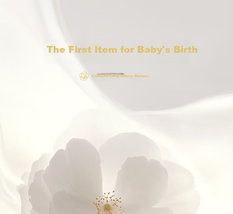 Babycare Camellia Onesie, Spring New Arrival Bodysuit, Newborn Romper, Baby Clothes, Sea Salt Blue, 66cm 2