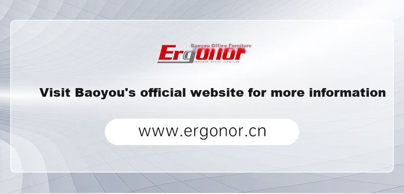 Ergonor Baoying Ergonomic Chair, Computer Chair, Comfortable Office Chair, Gaming Chair, Silver White (Cloud Cushion) 19