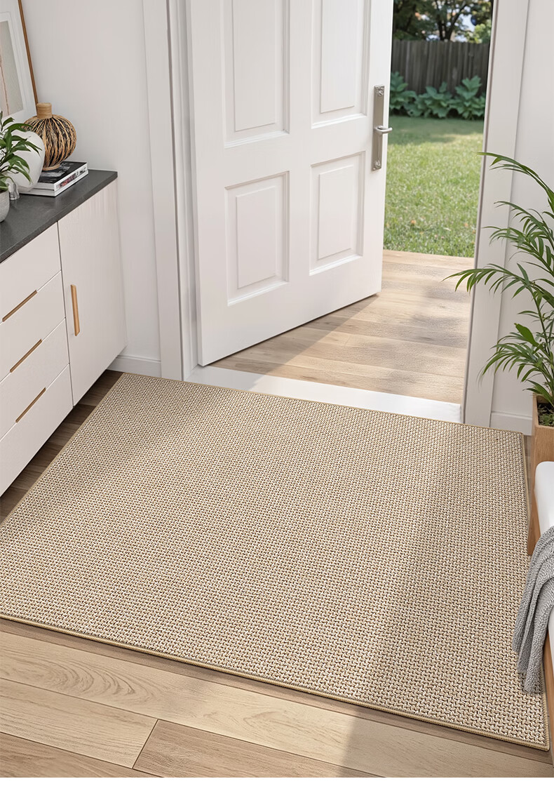 Dajiang Entrance Mat, Doorway Rug, Foyer Mat, Luxurious High-End Carpet for Entryway, 60x90cm 2