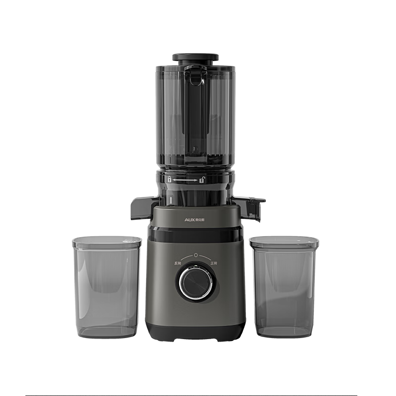 AUX Juicer, Multi-Functional Ice Cream Maker for Home Use, Fully Automatic, 110mm Large Diameter, Cold Press Juice And Vegetable Machine with Pulp Separation, AYZ-01AYZ01