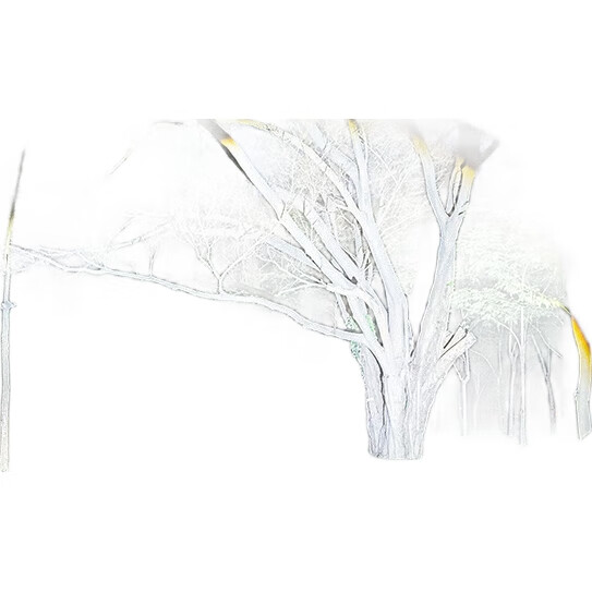 White Image 3