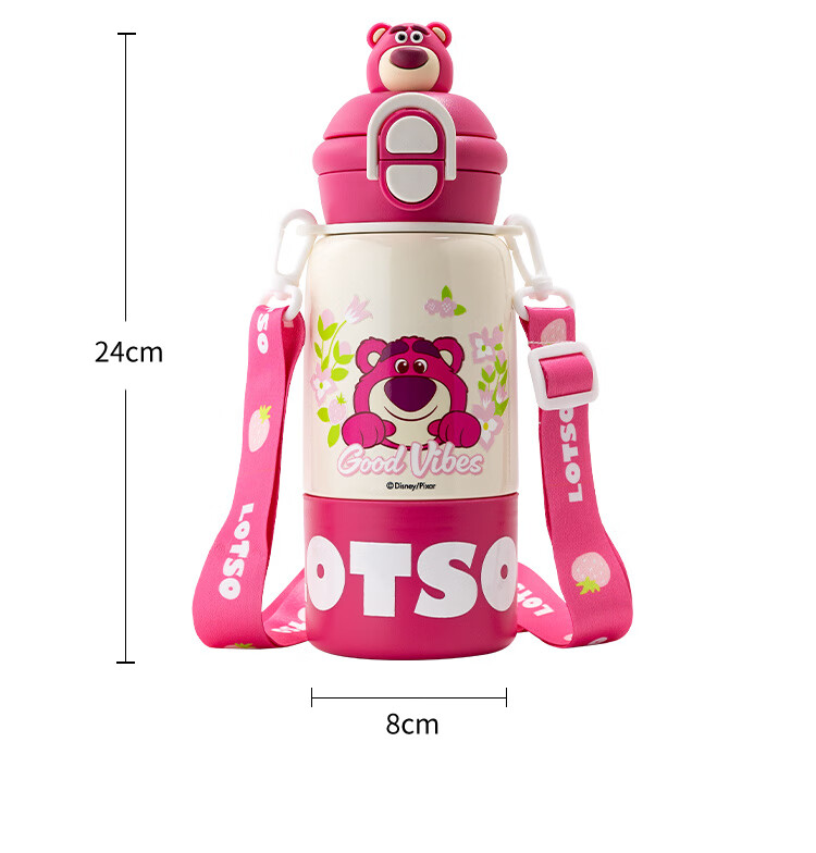 Disney Kids Insulated 316 Food Grade Sports Water Bottle for Boys Elementary School Students Kindergarten with Strap 2