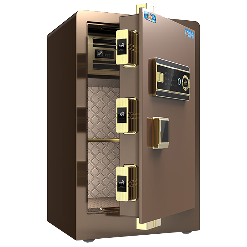 Hupai Home Safe with Fingerprint And Password Lock, All-Steel Anti-Theft Wall-Mountable Financial Security Cabinet, Borui Series, 60cm, Coffee Gold
