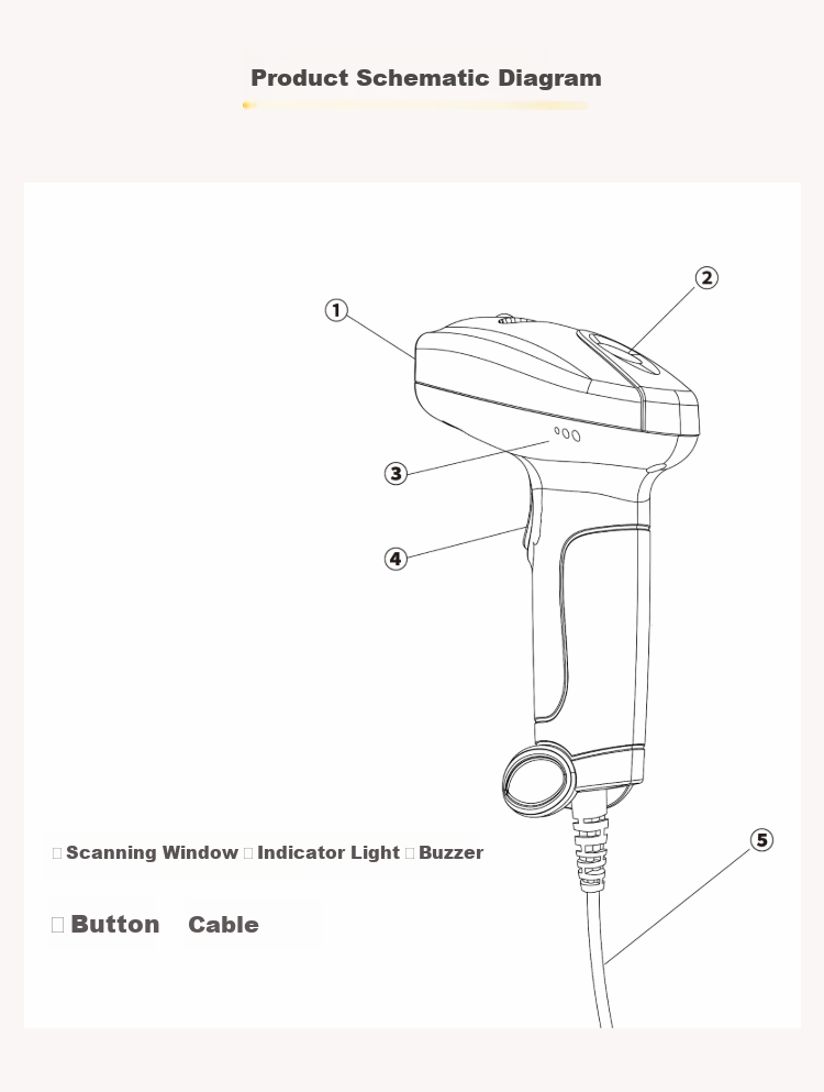 Meituan Wired Two-Dimensional Red Light Scanner Gun, Can Scan Screens, for Restaurants, Retail, Express Delivery, Warehouse Logistics, Supermarkets, Product Barcodes, WeChat Pay Cashier 5