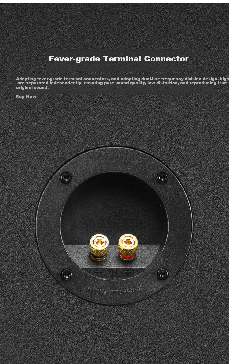 HiVi D3.2R Speakers, Home Theater Surround Sound System, Wooden HIFI High-Fidelity Speakers That Can Be Used As Bookshelf Speakers, Requires Amplifier 6