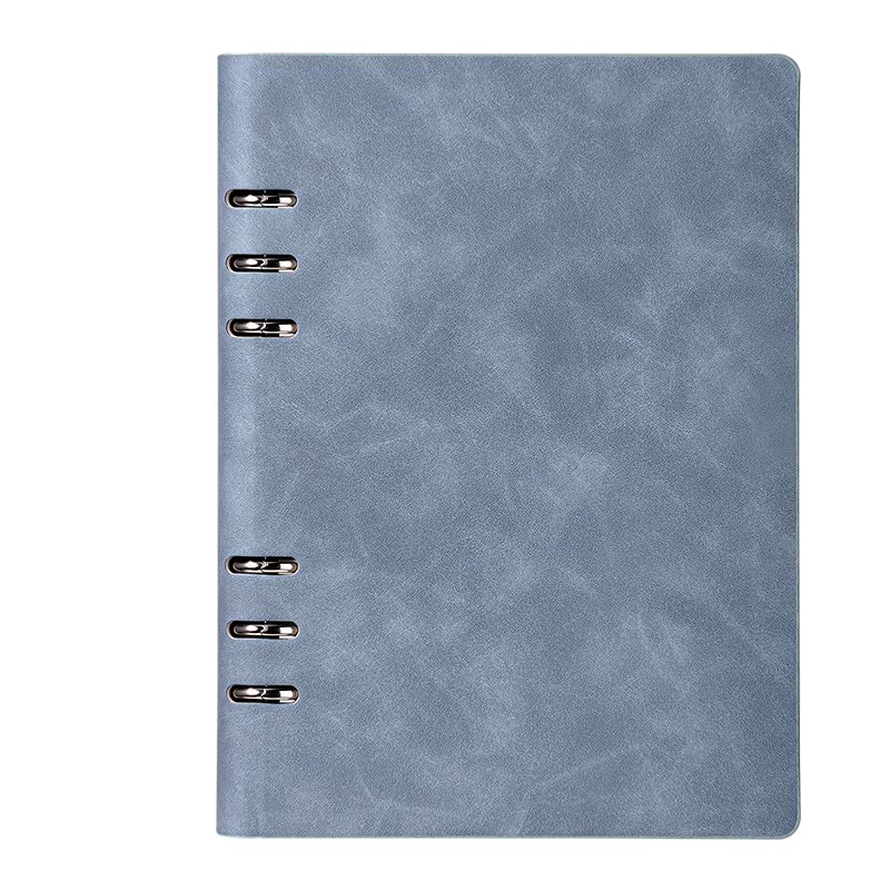 Deli Replaceable Refill Loose-Leaf Notebook with Sheepskin Cover, Office Journal, Meeting Minutes Book, A5/80 Sheets BP160 Blue