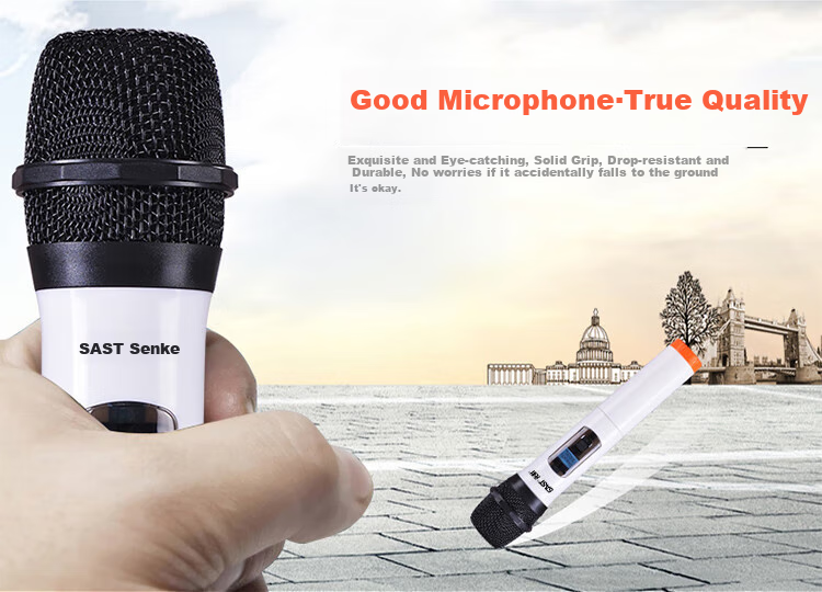 SAST OK-40 Wireless Microphone System, Dual Wireless Microphones, Home KTV Sound System for Singing, Meetings, Speeches, Stage Performance, Karaoke, OK Dual Handheld Microphones, Black 10
