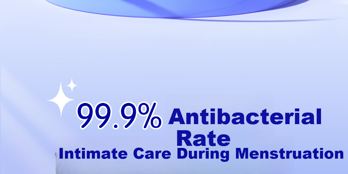 Ankexin Sanitary Pads with Probiotics And Antibacterial 99.9%, for Women's Menstrual Use, Daytime Use, Maternity Care Grade, 245mm, 100 Pieces 11