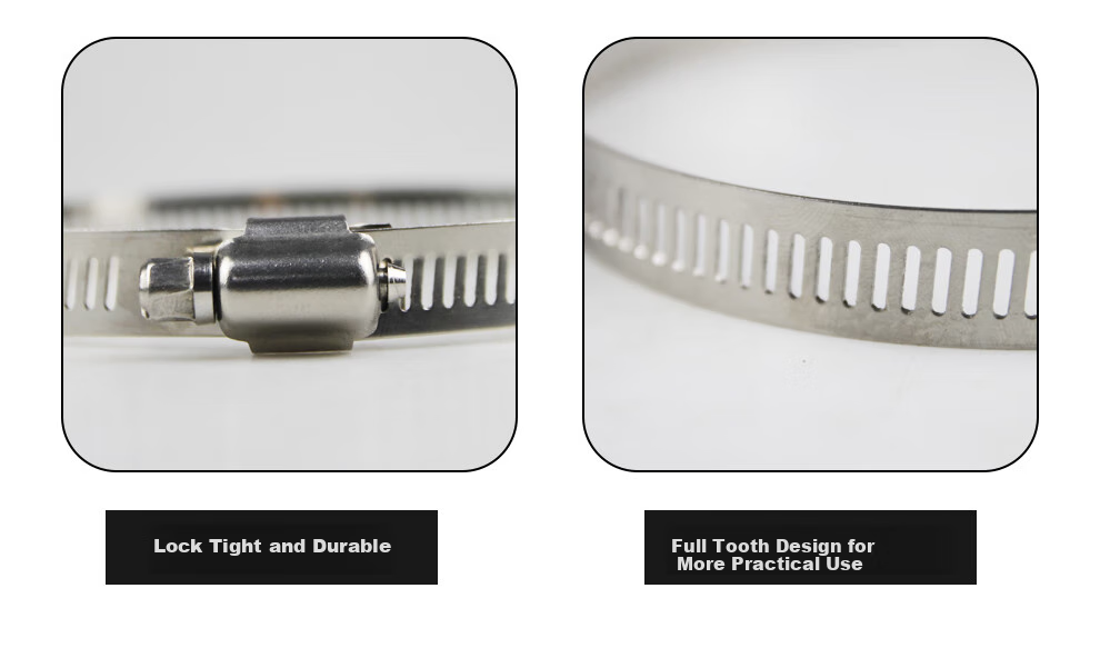COMPCCTV Surveillance Clamp Bracket, Stainless Steel Clamp Ring, All-Steel Clamp, Hose Clamp, Electrical Pole Clamp, Stainless Steel Clamp Strip, Cable Tie 6