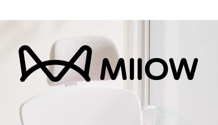 MiiOW Office Lumbar Support Cushion for Chair Backrest, Waist Pillow for Office Chair, Student and Pregnant Women Long Sitting Back Support Pad 1