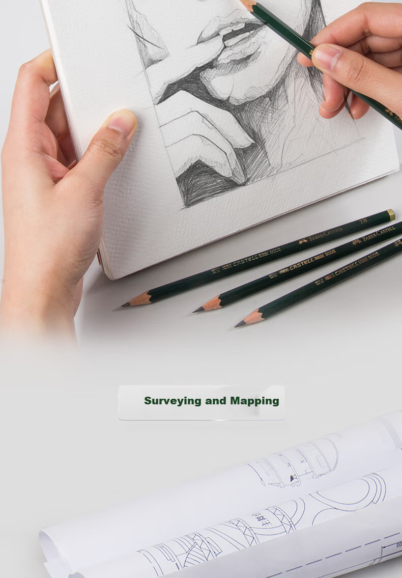 Faber-Castell 9000 Sketching Pencils HB Professional Drawing Design Pencils for Adults, Art Students, Beginners, Hand-Drawn Special Use, 12-Pack Art Sketching 9