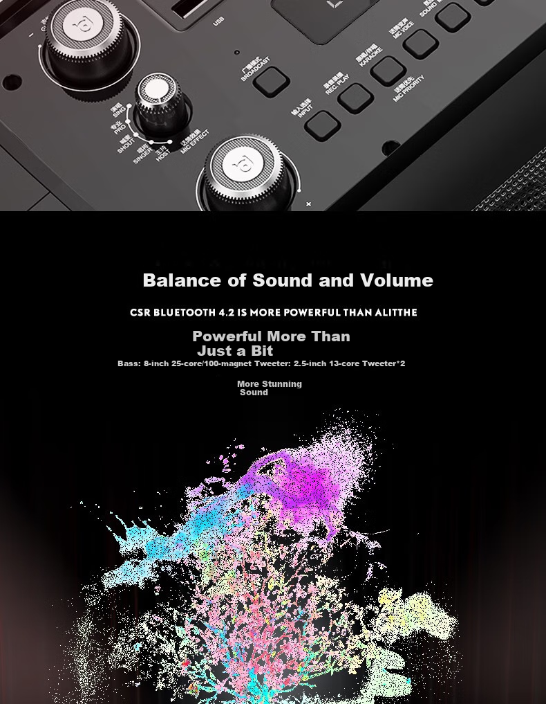 Beide Outdoor Square Dance Live Streaming Speaker Sound Card All-In Portable Handheld Wireless Bluetooth Mobile Outdoor Mini Internet Celebrity Home Karaoke Speaker BD-H0887S 6