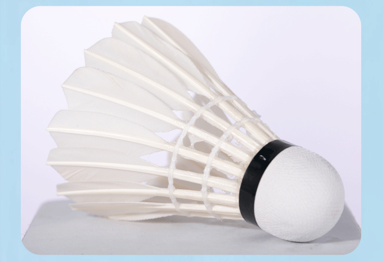 QIAO Goose Feather Badminton Training Durable Shuttlecocks AS15ew 12-Pack Tube 9