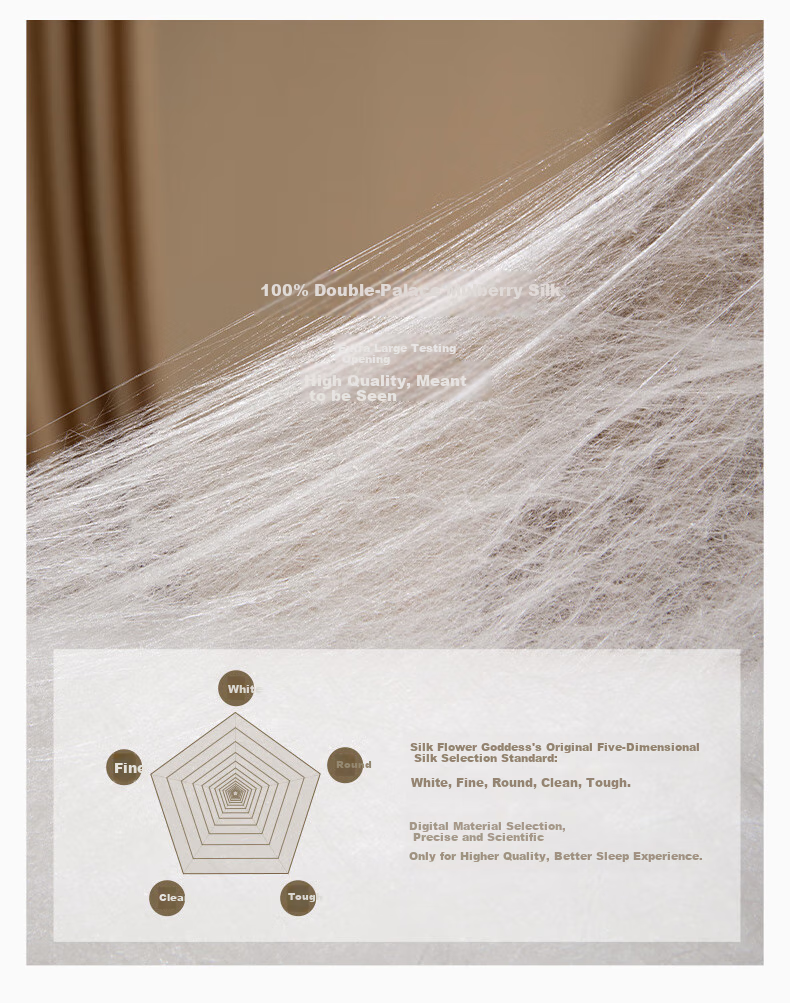 SILKUEEN [Silk Road Legend] 100% Mulberry Silk Quilt Summer Cool Thin Comforter, Silk Weight 2 Jin (1 Kg), 220*240cm [White] 2