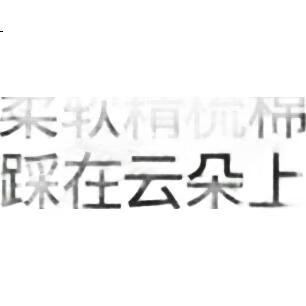 White Image 1
