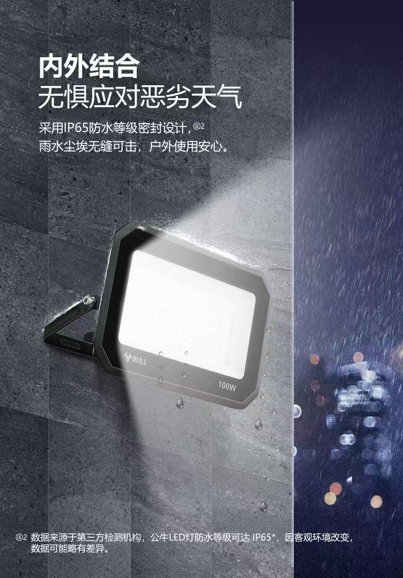 BULL LED Floodlight Outdoor Courtyard Factory Garden Camping Light IP65 Waterproof 100W MG-D100A-AE-6500K 6500K White Light 2