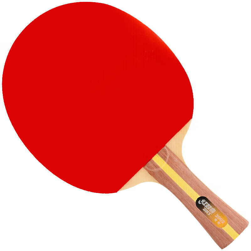 DHS H2002 2-Star Table Tennis Racket Horizontal Grip Advanced H2002 Inverted Rubber Single Paddle with Case