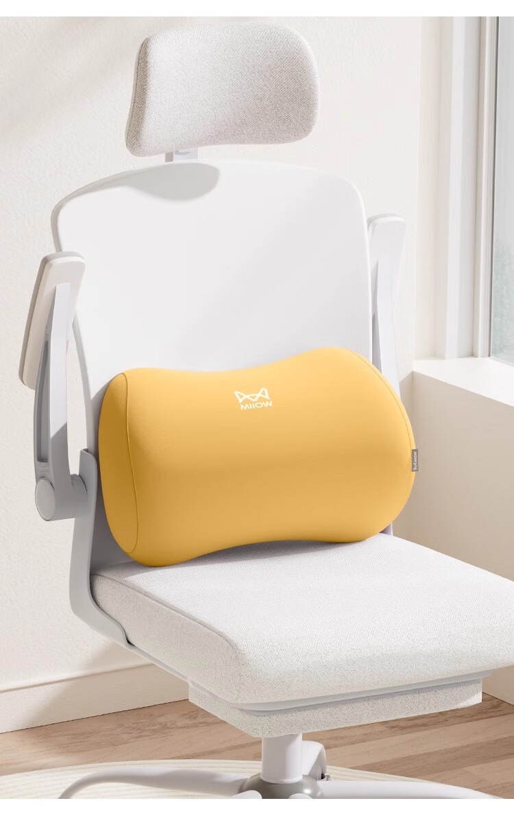 MiiOW Office Lumbar Support Cushion for Chair Backrest, Waist Pillow for Office Chair, Student and Pregnant Women Long Sitting Back Support Pad 21