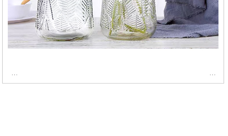 Jidukongjian Glass Vase, Flower Arrangement Vase, Hydroponic Plant Ecological Bottle, Transparent Desktop Vase for Living Room And Office Desk, Home Decor Ornament 10