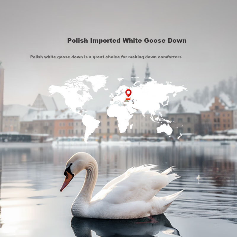 LUOLAI Home Textiles Duvet Insert, Polish Imported 95% White Goose Down Two-In Duvet Insert, 150*215cm