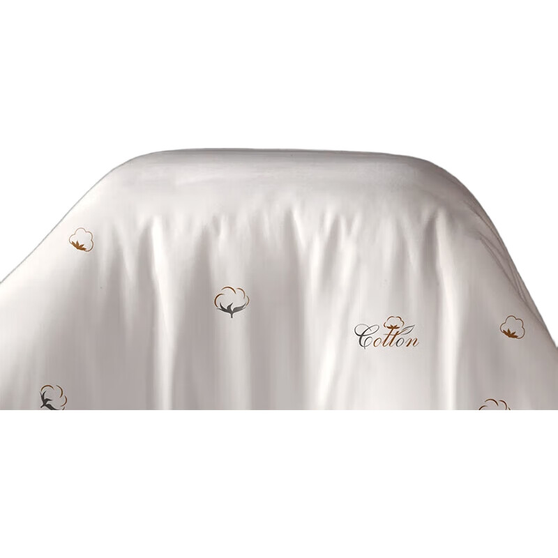 White Image 2
